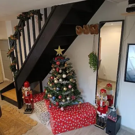 Maison Alsacienne A Colombages Dans Cour Privee Avec Jardin Sur Les Remparts Ferienhaus *