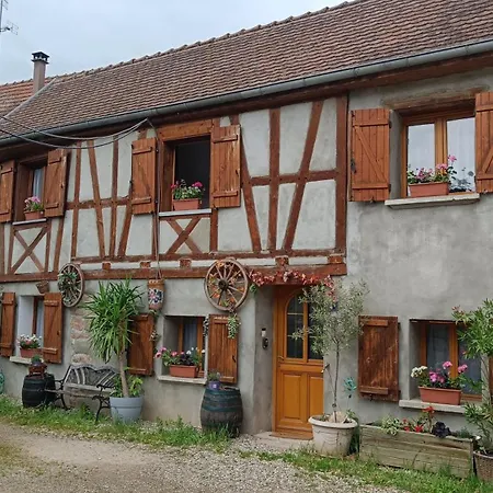 Maison Alsacienne A Colombages Dans Cour Privee Avec Jardin Sur Les Remparts Ferienhaus